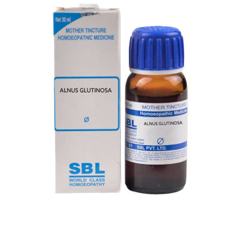 SBL Homeopathy Alnus Glutinosa Mother Tincture Q::31519492997279