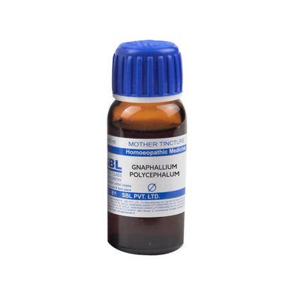 SBL Homeopathy Gnaphalium Polycephalum Mother Tincture Q - Distacart::34863571304607